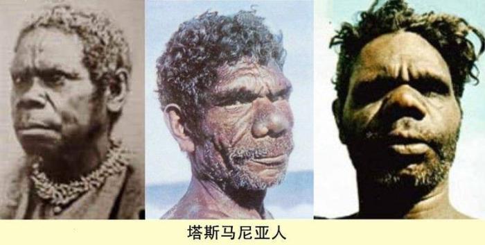 最后灭绝的人种,1876年被澳大利亚当局赶尽杀绝