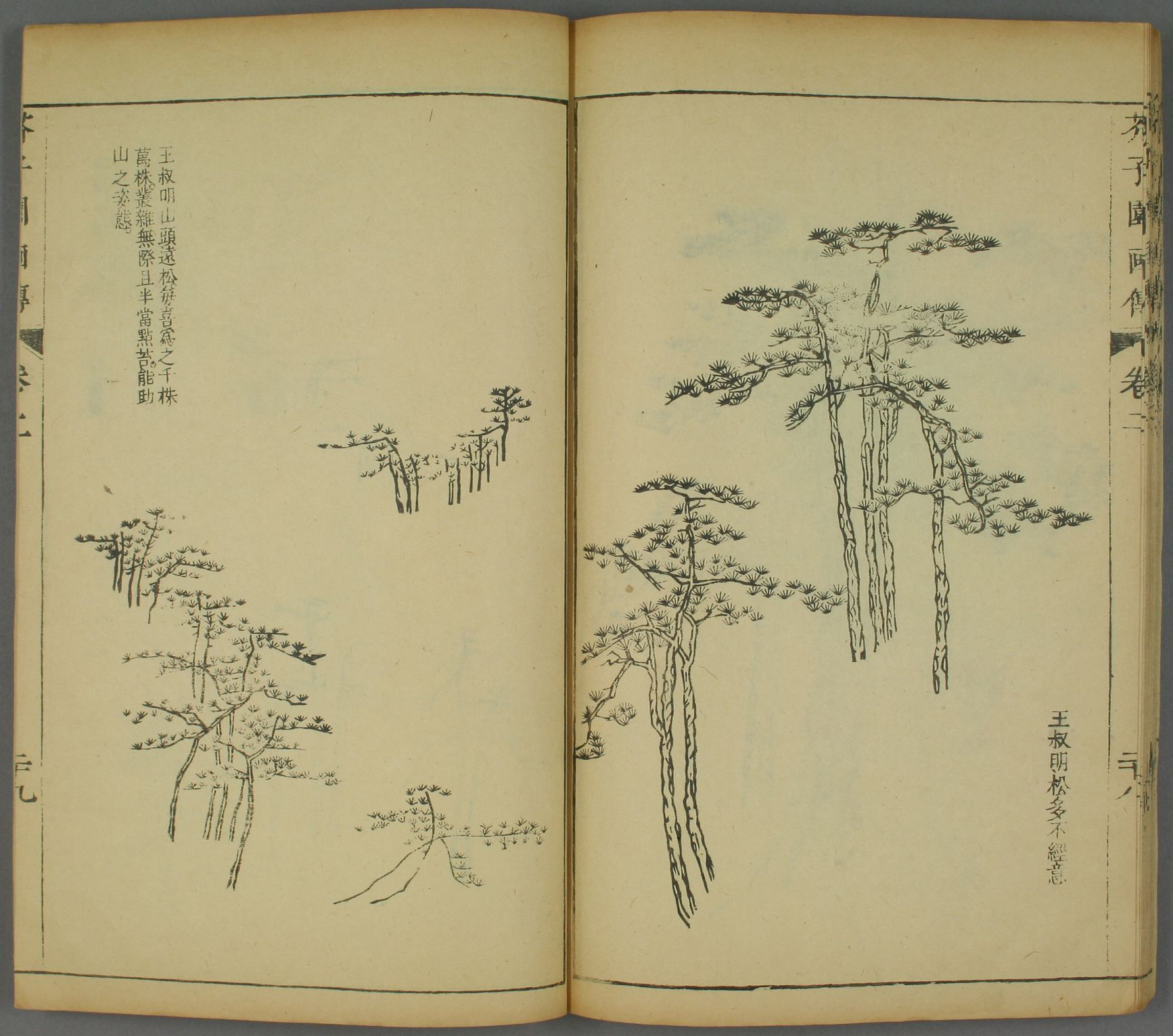 《芥子园画谱》山水篇之树谱精选高清图,学山水不可不读!