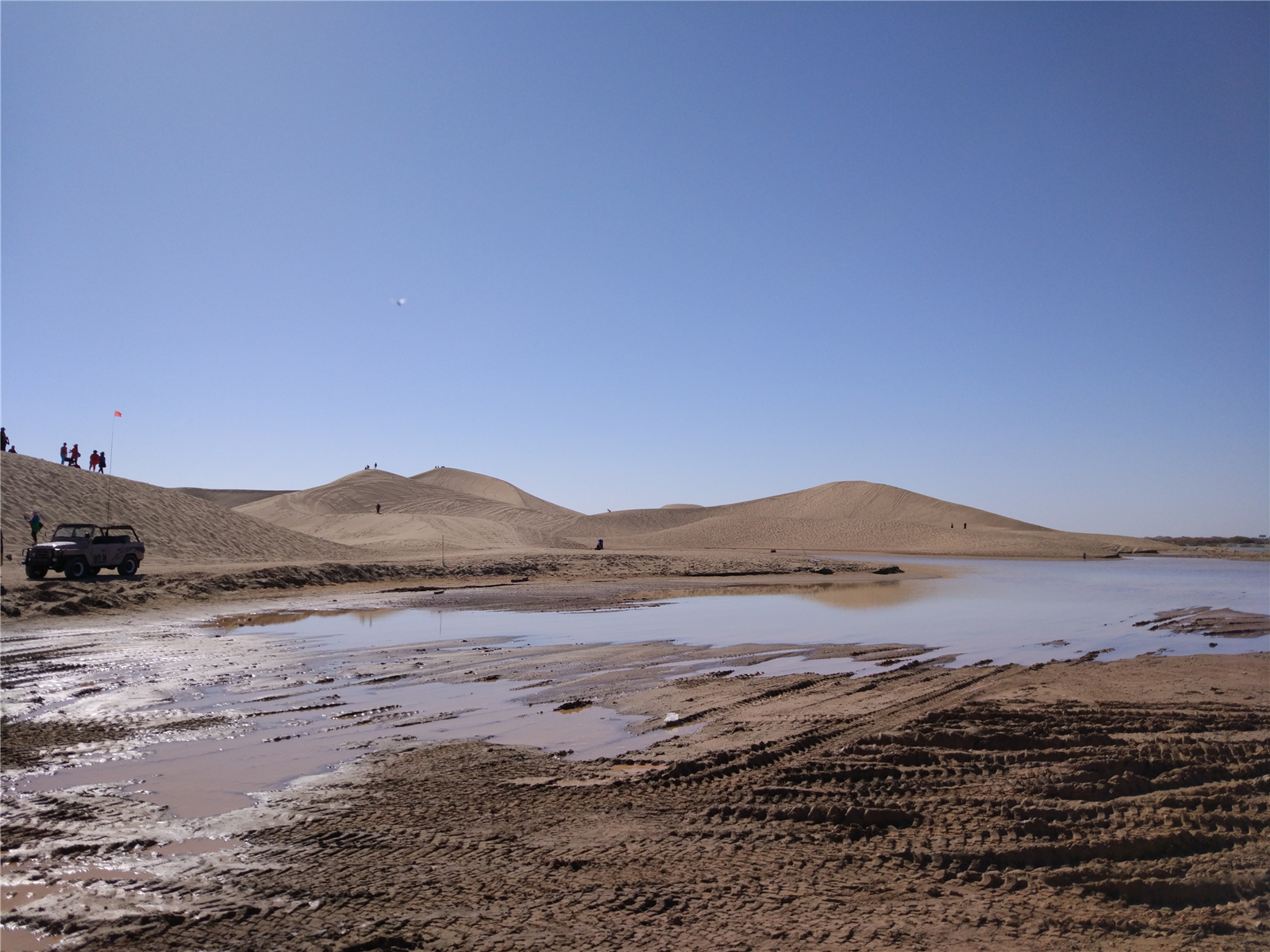 内蒙戈壁滩有一片林木,每年深秋美得耀眼,引无数摄影发烧友前往