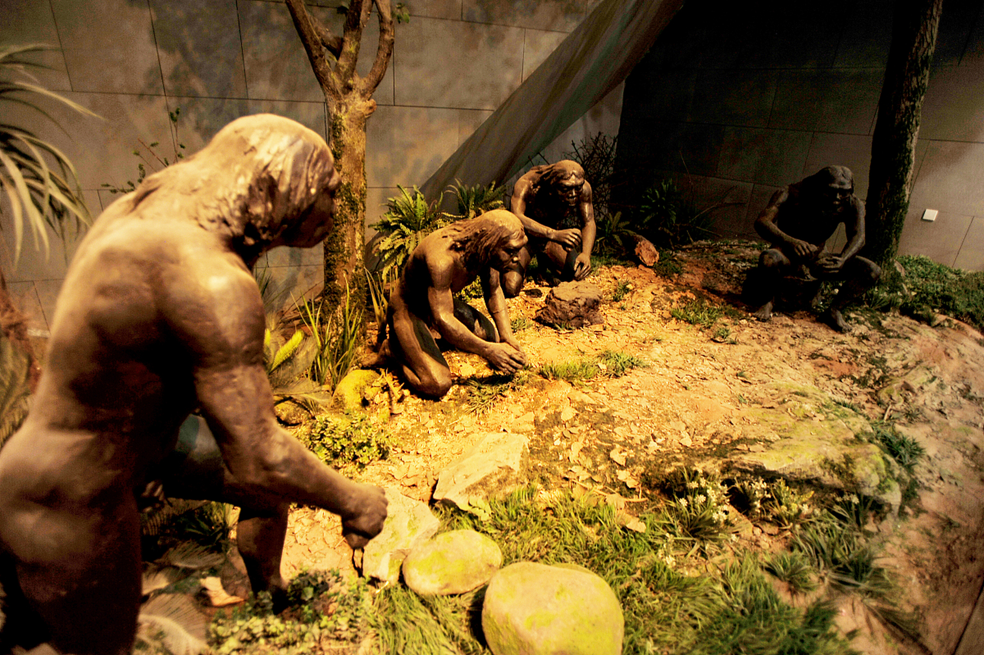 人类起源探索之旅:从地球诞生到现代文明,人类经历了漫长的进化历程.