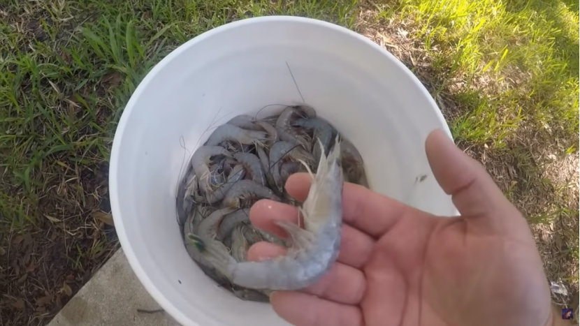 200万吨大米!中国或与泰国签重要农产品合作,越南却错失机会?