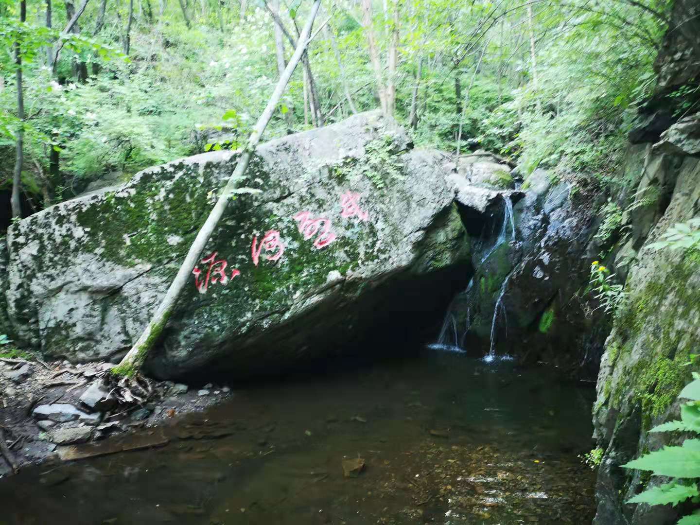 茅荆坝村图片