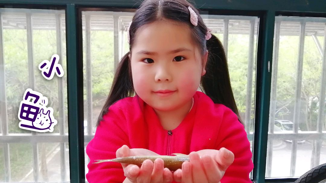 兮兮给三只可爱的小鱼换水,希望小鱼能自由自在地在水中游来游去