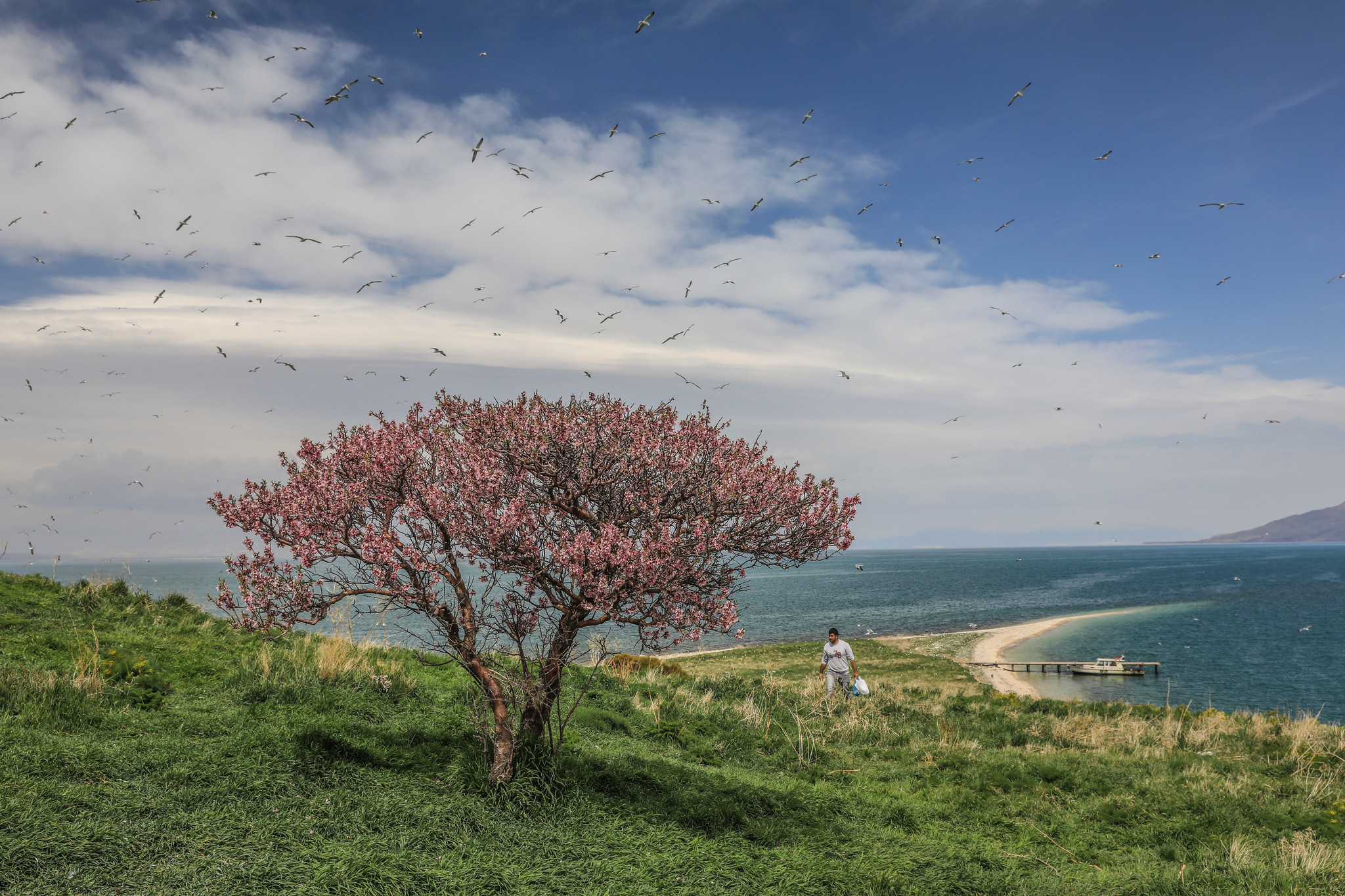土耳其凡城春色醉人 草地碧绿湖泊湛蓝