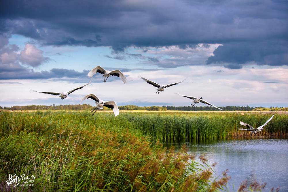 向海,这个曾被荷兰亲王赞誉为人间仙境的保护区,到底有多美