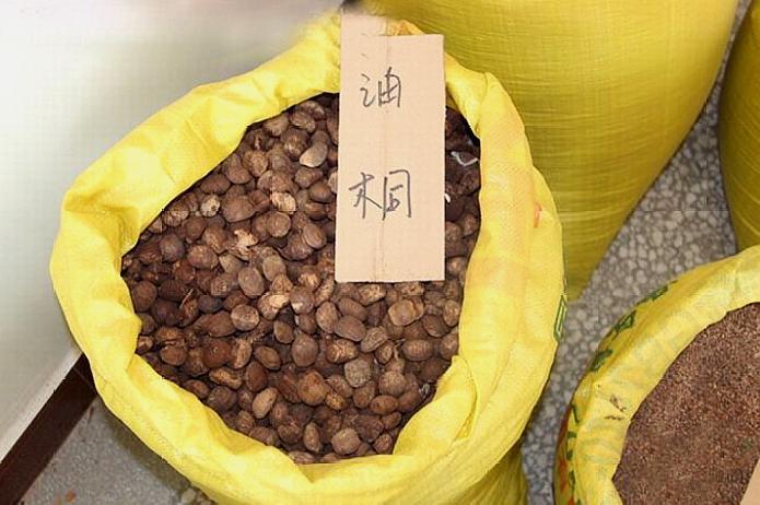 桐油是到底什么东西?竟然在抗战中被列为战略物资?