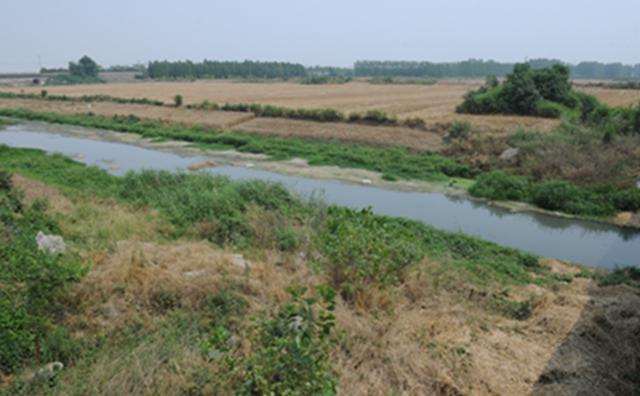 美貌又武艺高强的罗成墓,在西平京广铁路西淤泥河边成了一个问号