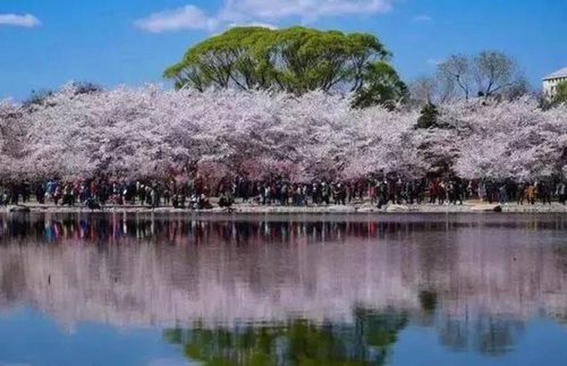 龙王塘水库坐落在旅顺龙塘镇官房村北,解放前由日本人建造,水库大坝
