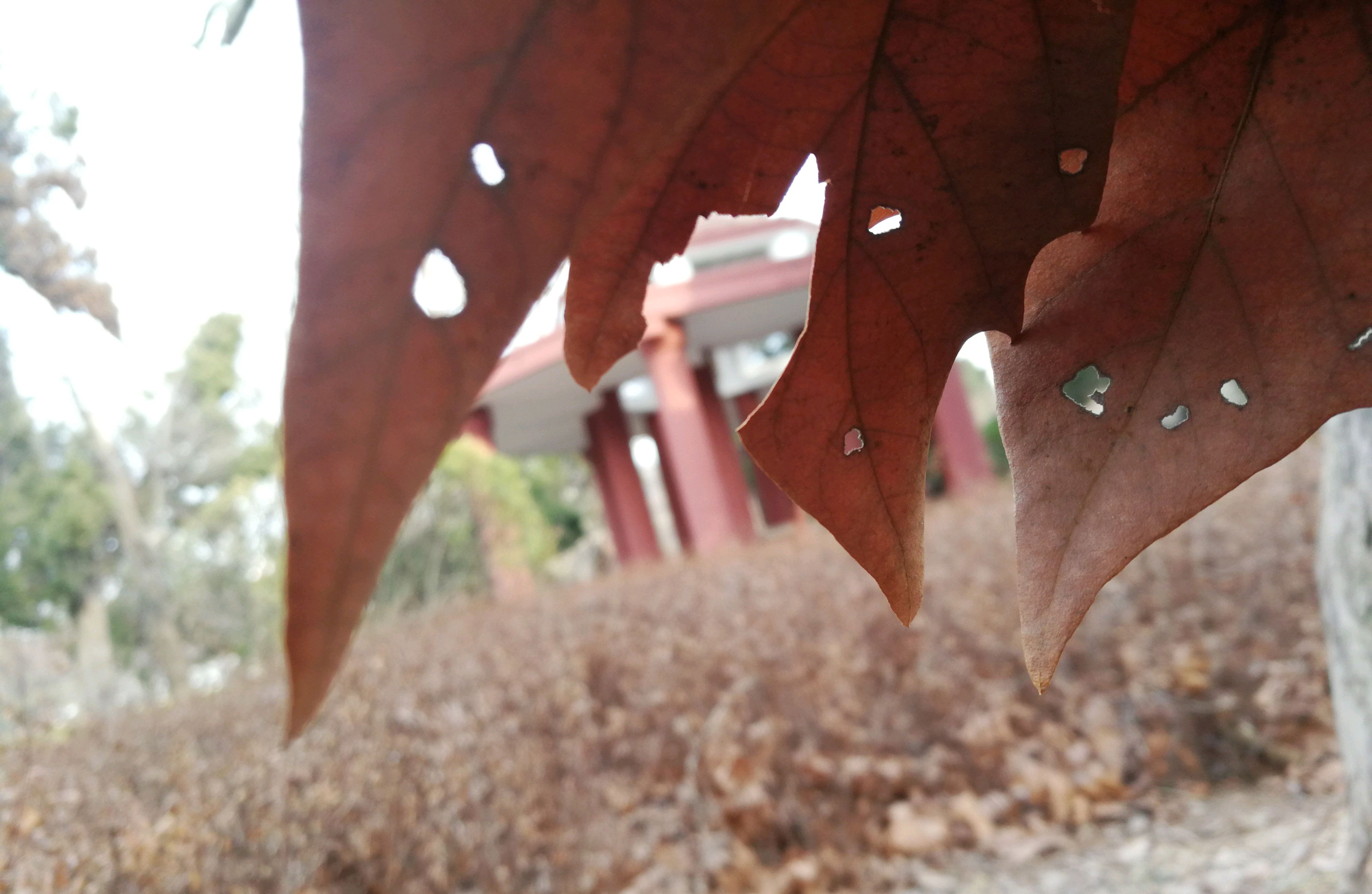 近实远虚(栏杆)