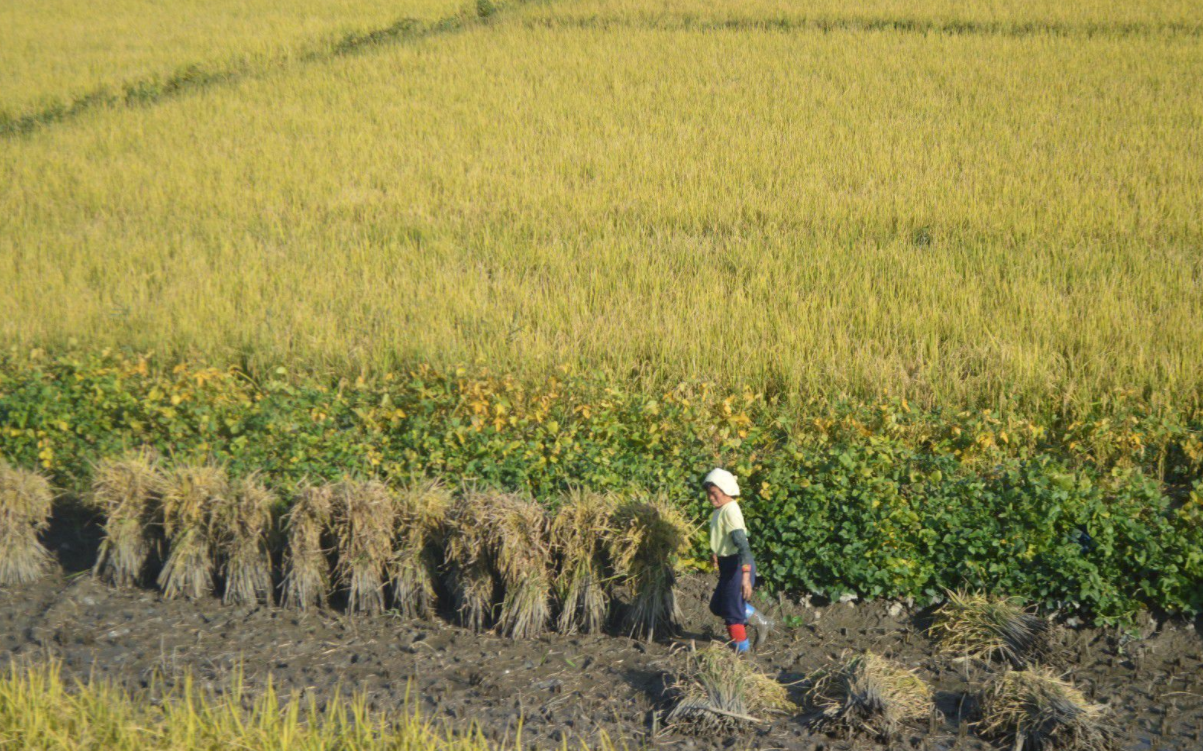 朝鲜视觉:实拍朝鲜农村地区百姓的生活现状!