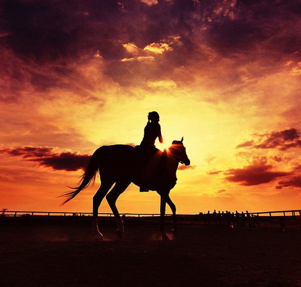 马踏火烧云:如何拍摄出一天只有一次机会的好照片