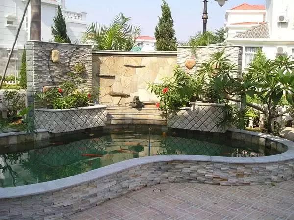 有院子的看过来,鱼池这么美好,你不造一个?