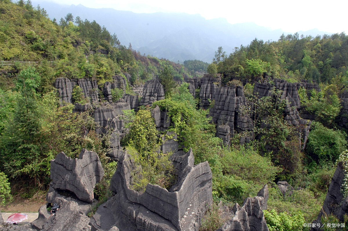 文山森林公园风景图片图片