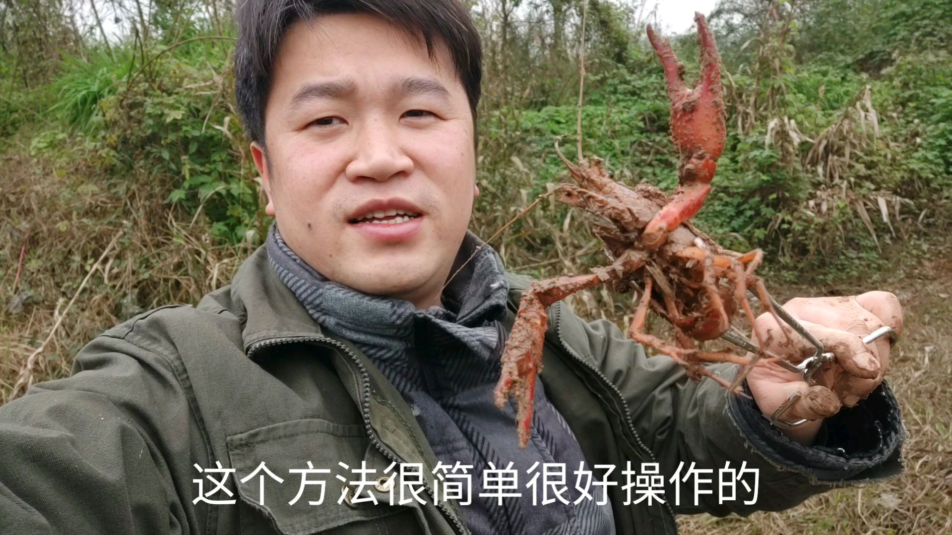 新手如何去抓小龙虾,告诉你这个办法,三分钟就学会
