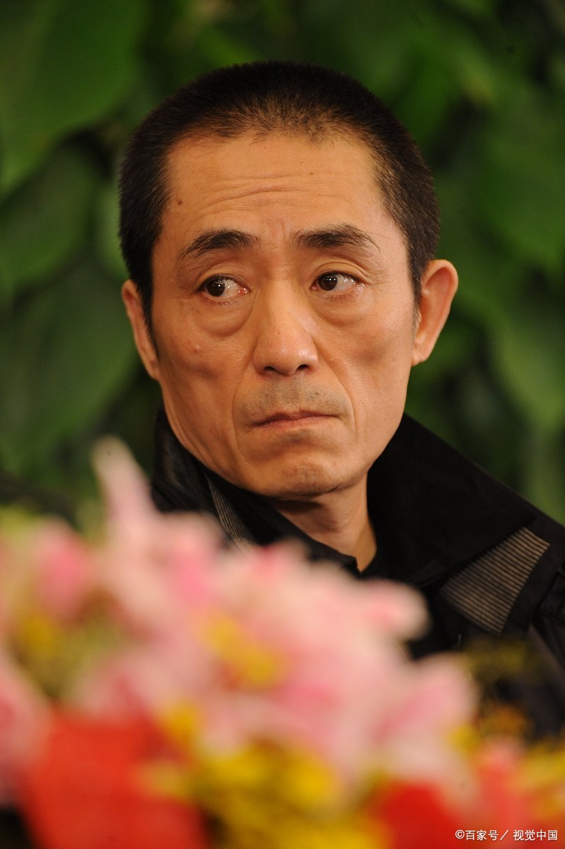 从2010年至2024年,张艺谋导演的电影票房情况如下: