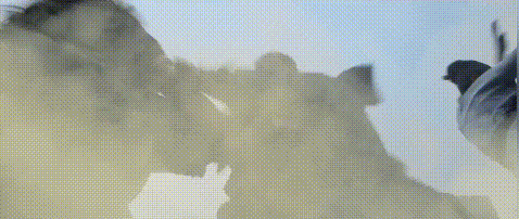 星爷经典被毁,《唐伯虎点秋香2019》又一次刷新烂片