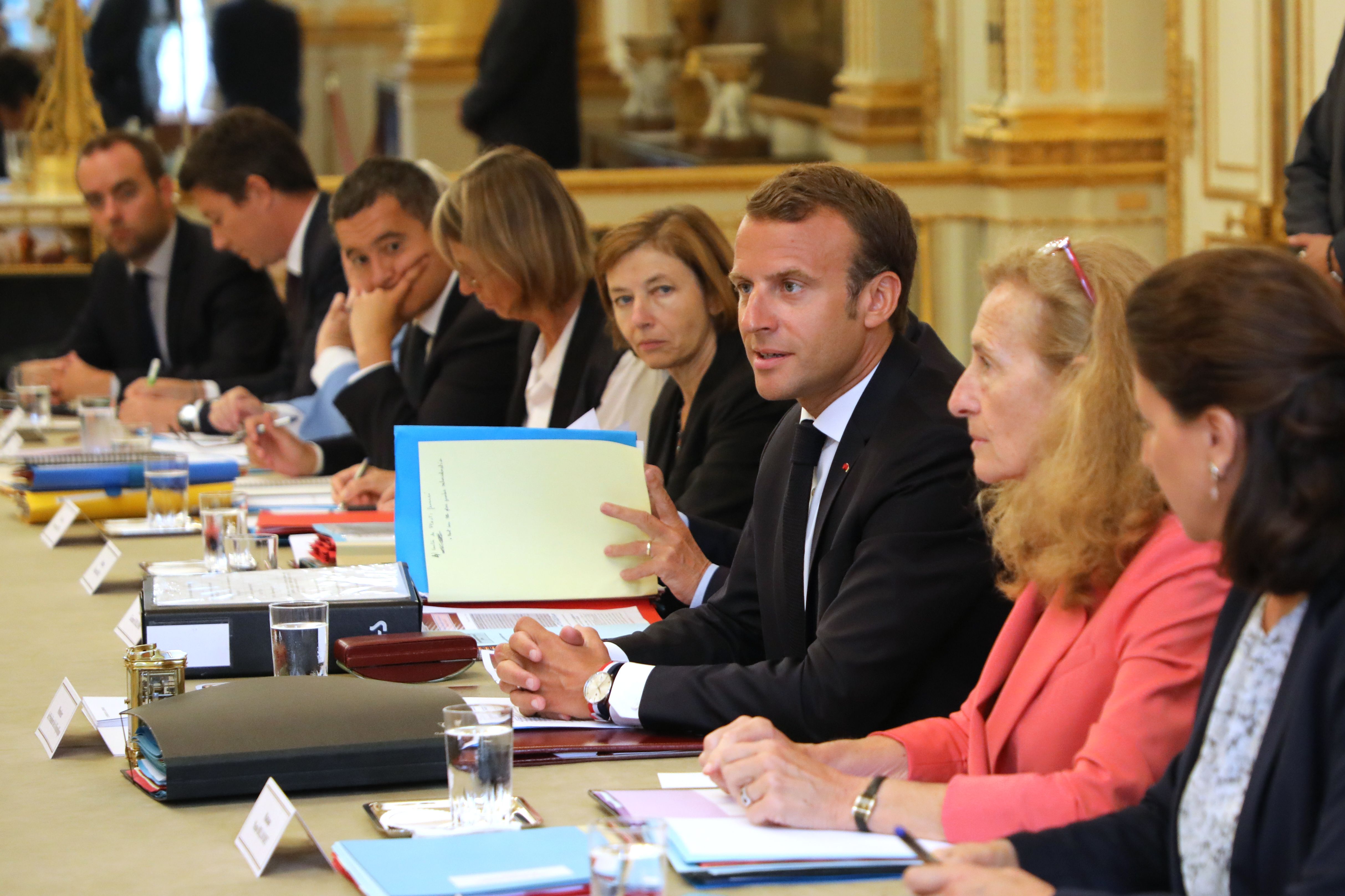 法国内阁更换两名部长(11)