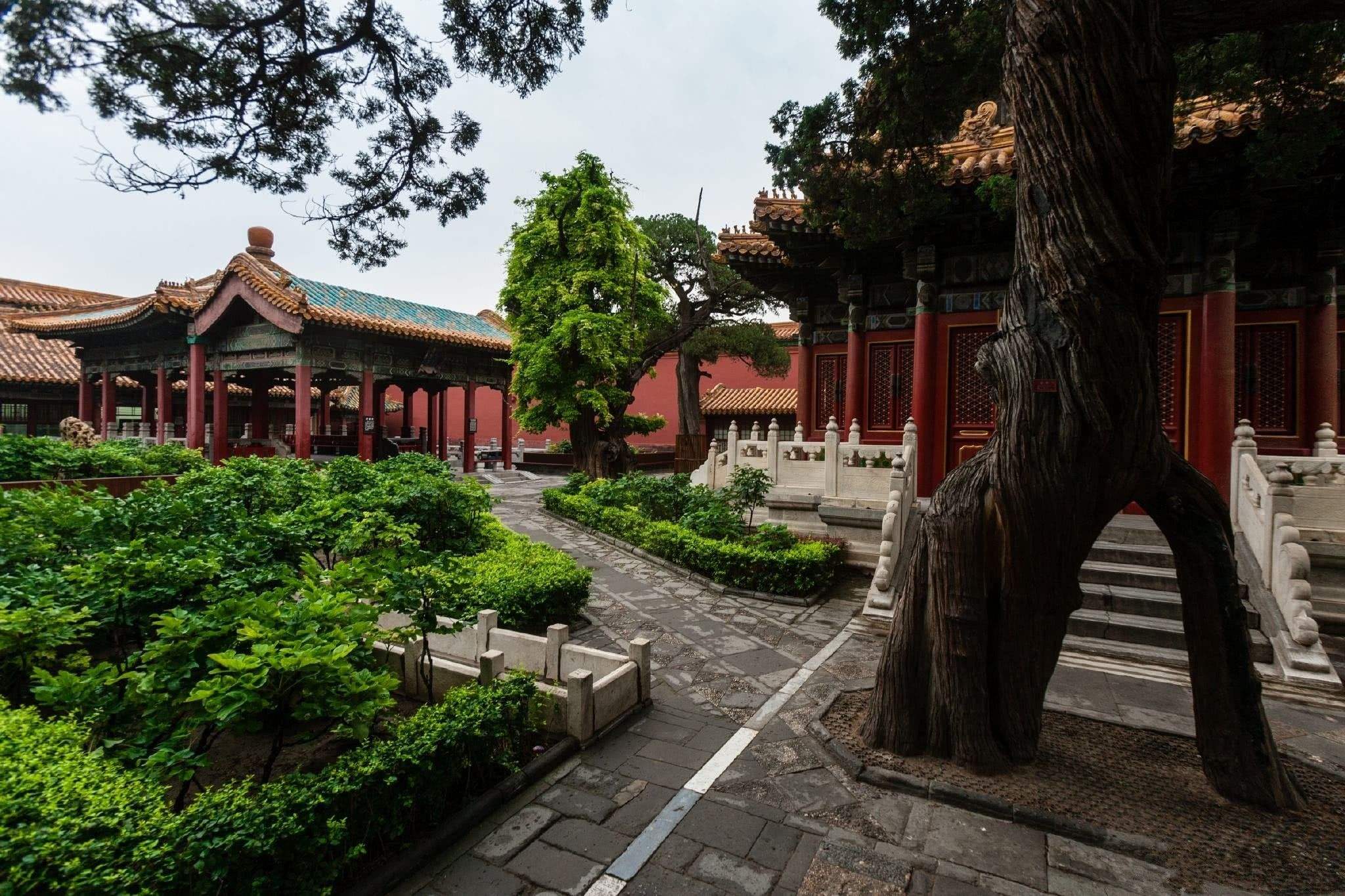 上新了·故宫:走进"乾隆秘密花园",宁寿宫花园为何最受青睐?