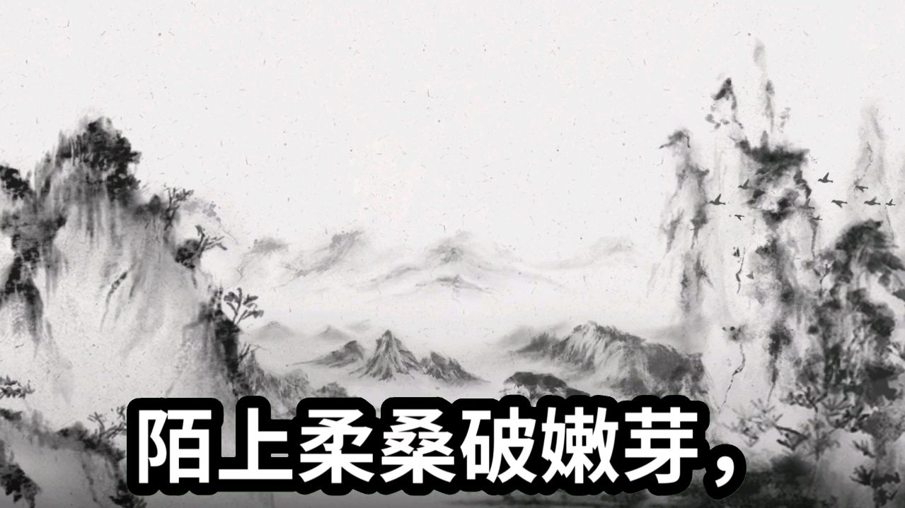 诵读辛弃疾的《鹧鸪天》,城中桃李愁风雨,春在溪头荠菜花