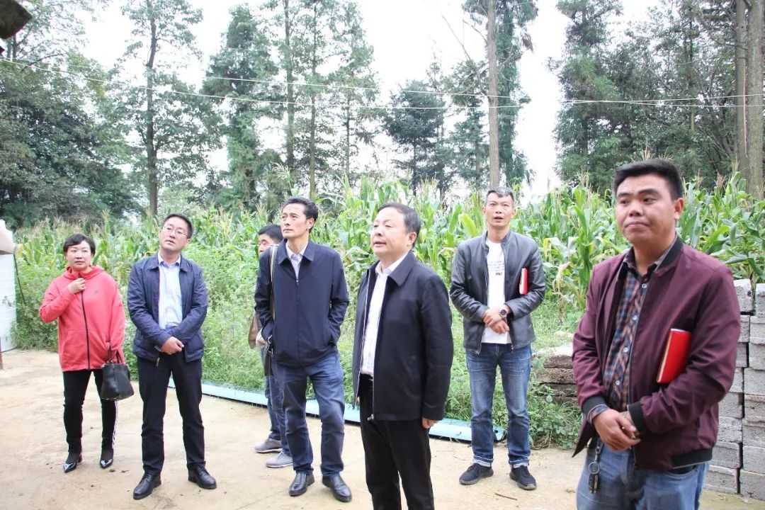 潘铁军深入基层开展 "不忘初心 牢记使命"主题教育专题调研