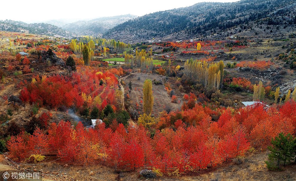 土耳其:实拍托罗斯山脉秋景 满山红叶似火风景如画