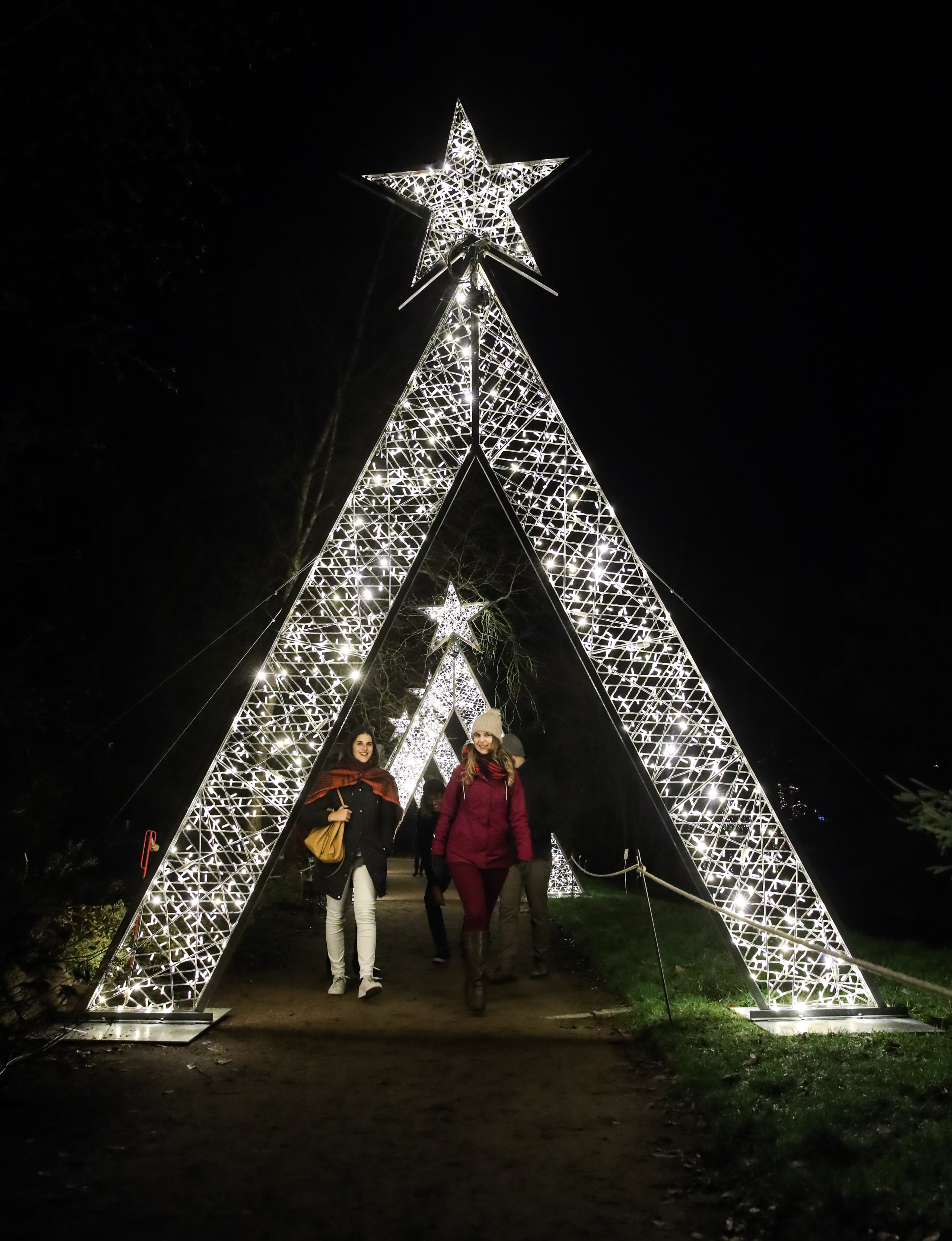 "柏林圣诞花园"灯光秀开幕