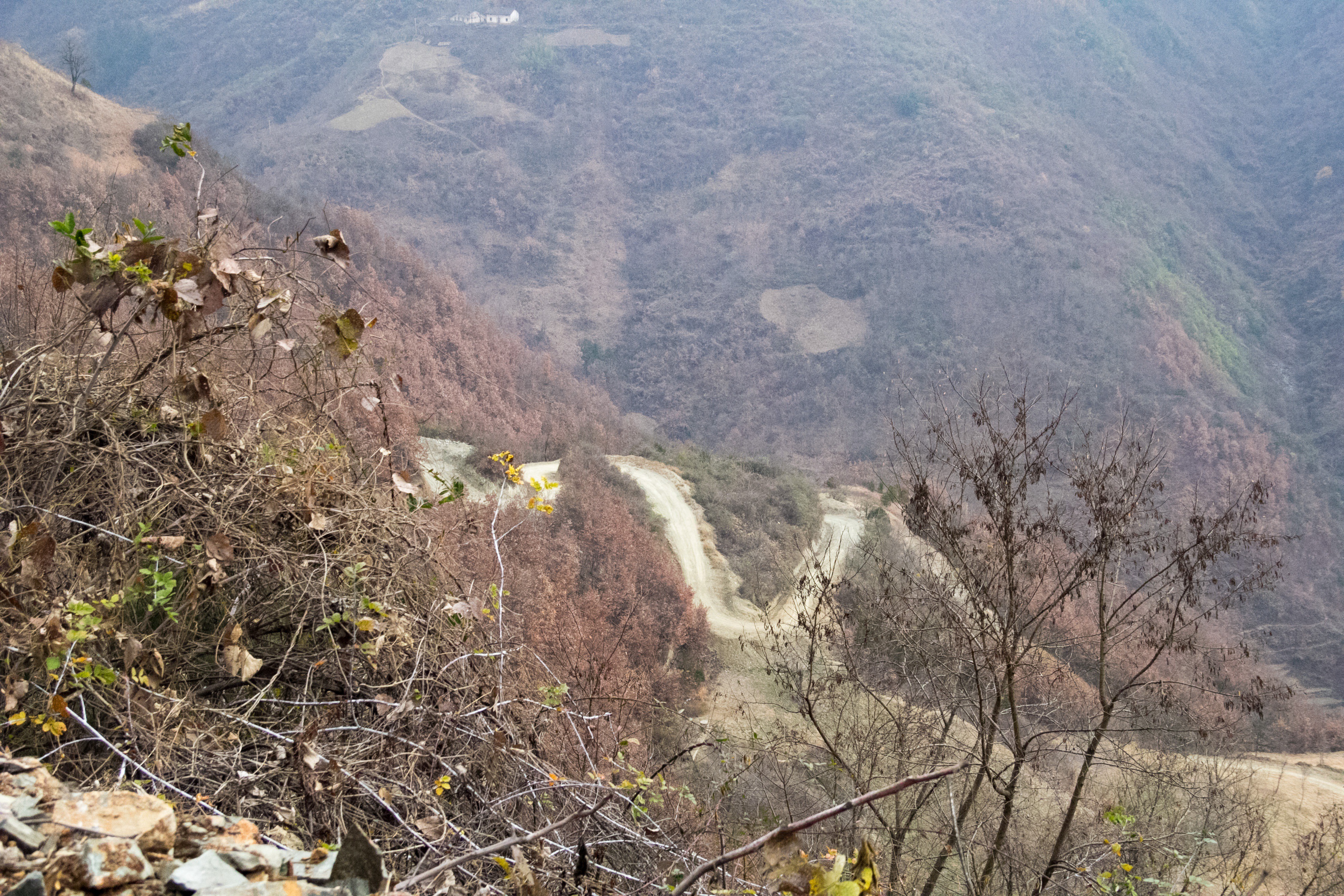 行走秦岭:大寨子山高坡陡,发现很多石板房