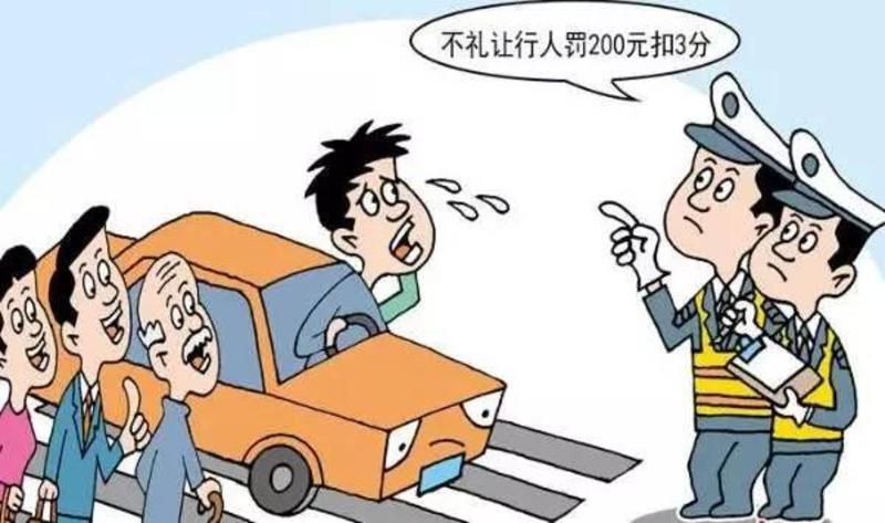 礼让行人怎么处罚图片