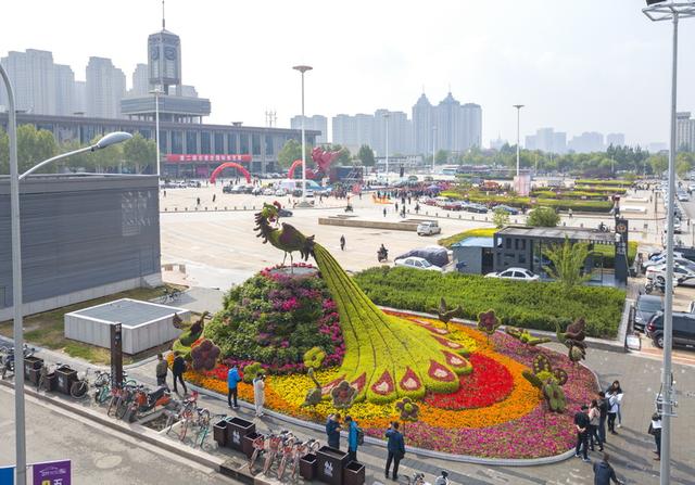 先睹为快!12组立体花坛矗立街头,380万盆时令花卉扮靓石家庄