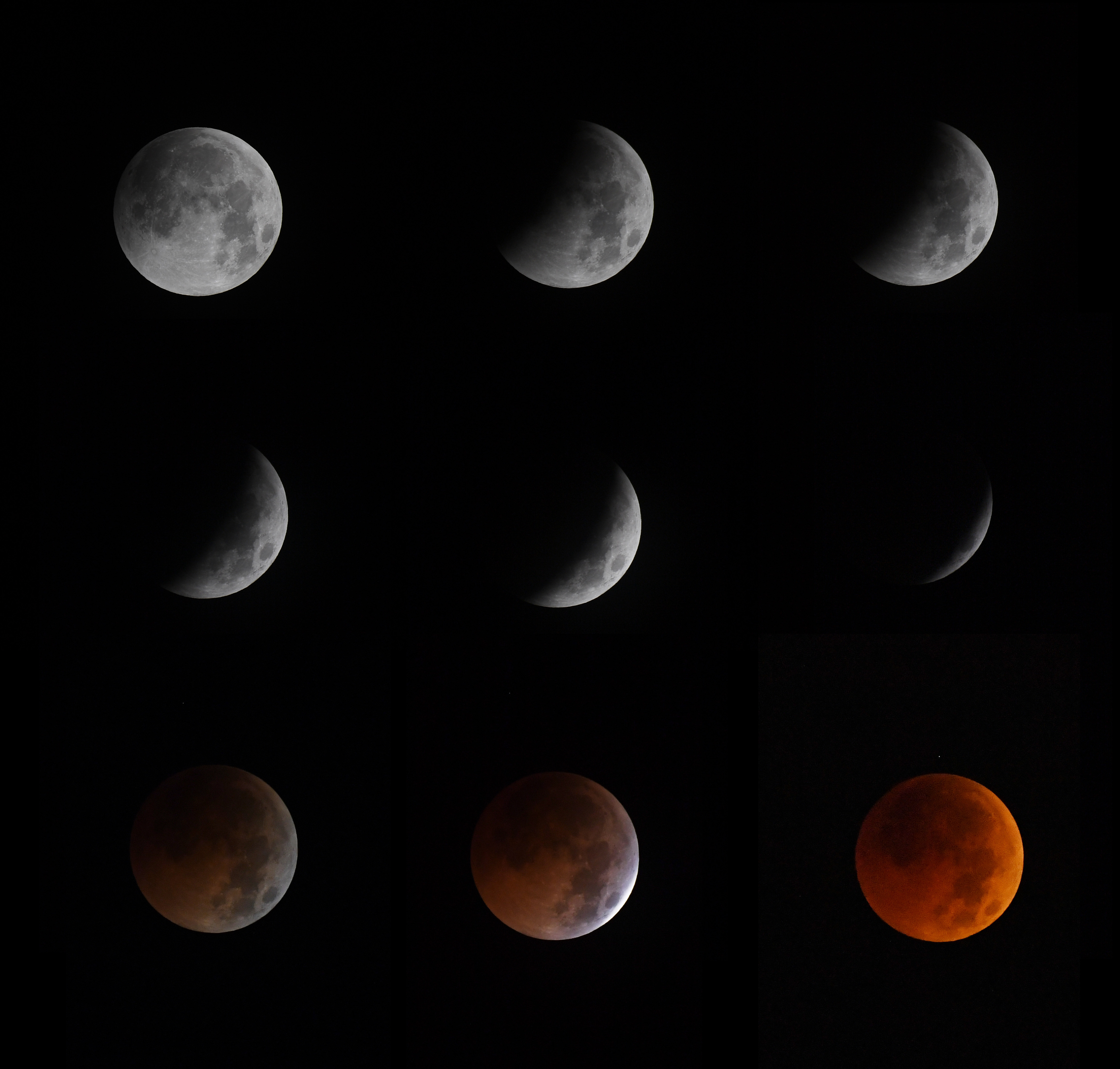 天幕上演月全食美景(9)