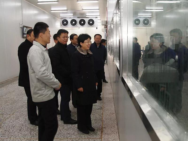 祁学兰检查调研扶贫项目工作