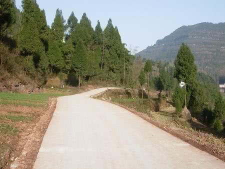 为什么高速公路都铺柏油路而不是水泥路?