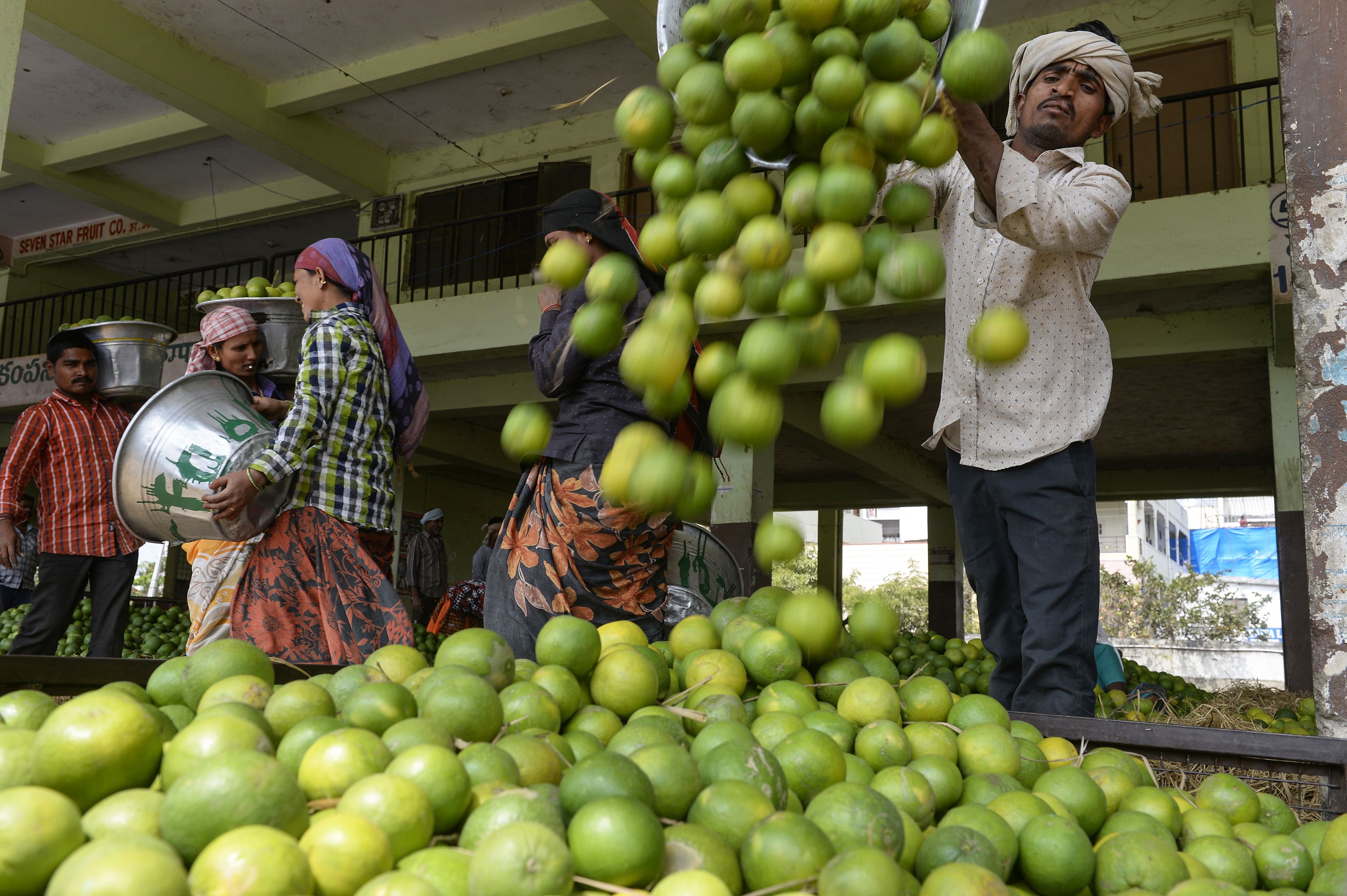 印度的甜橙市场