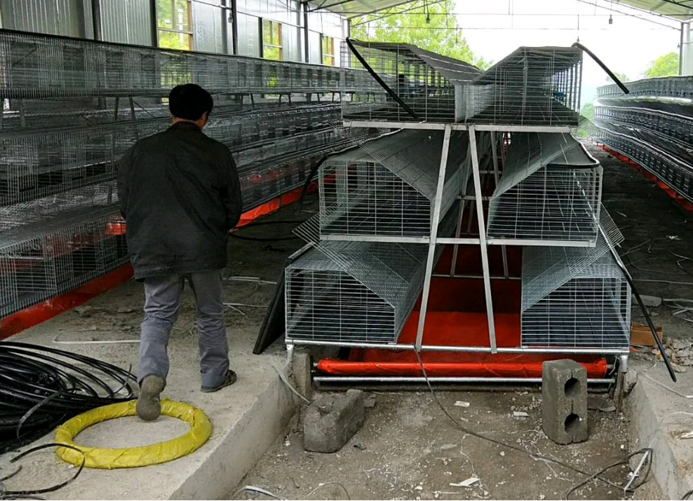 铁丝网兔笼子 - 热门商品专区