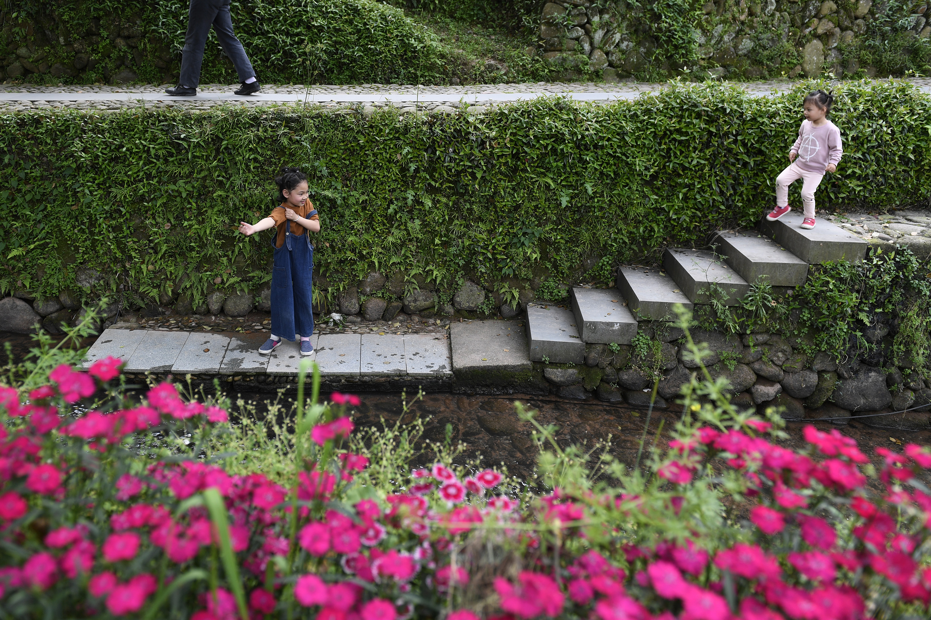 农户绘就中国农村新画卷——浙江"千万工程"获联合国"地球卫士奖"(3)