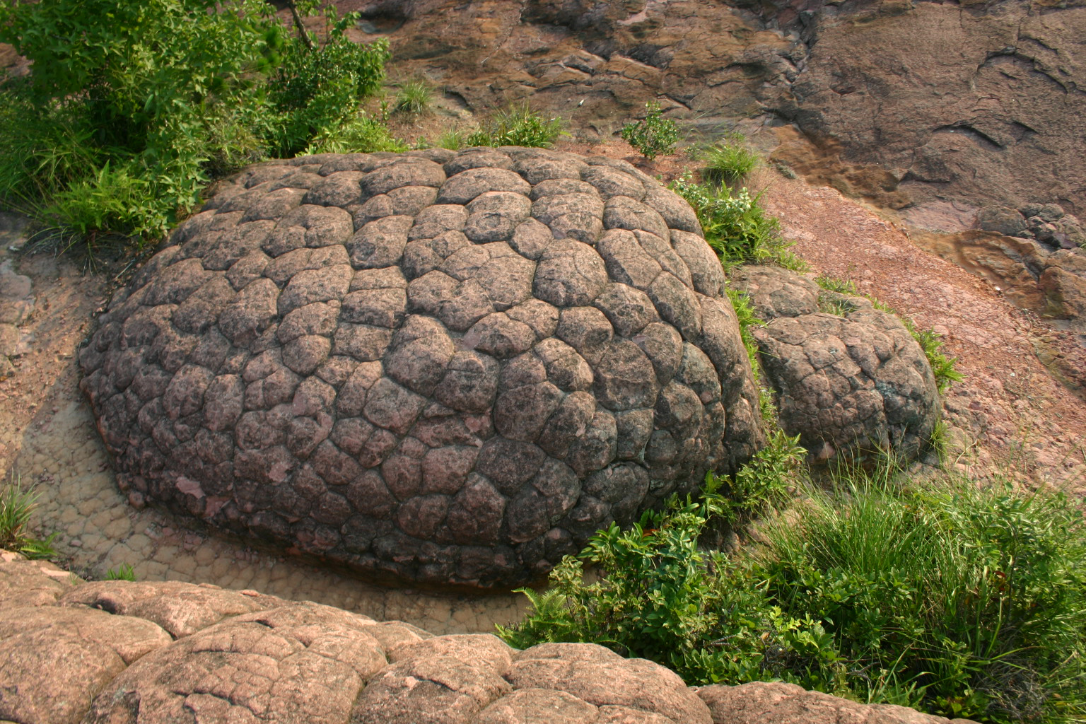 江西石城通天寨:山不在高,有仙则灵