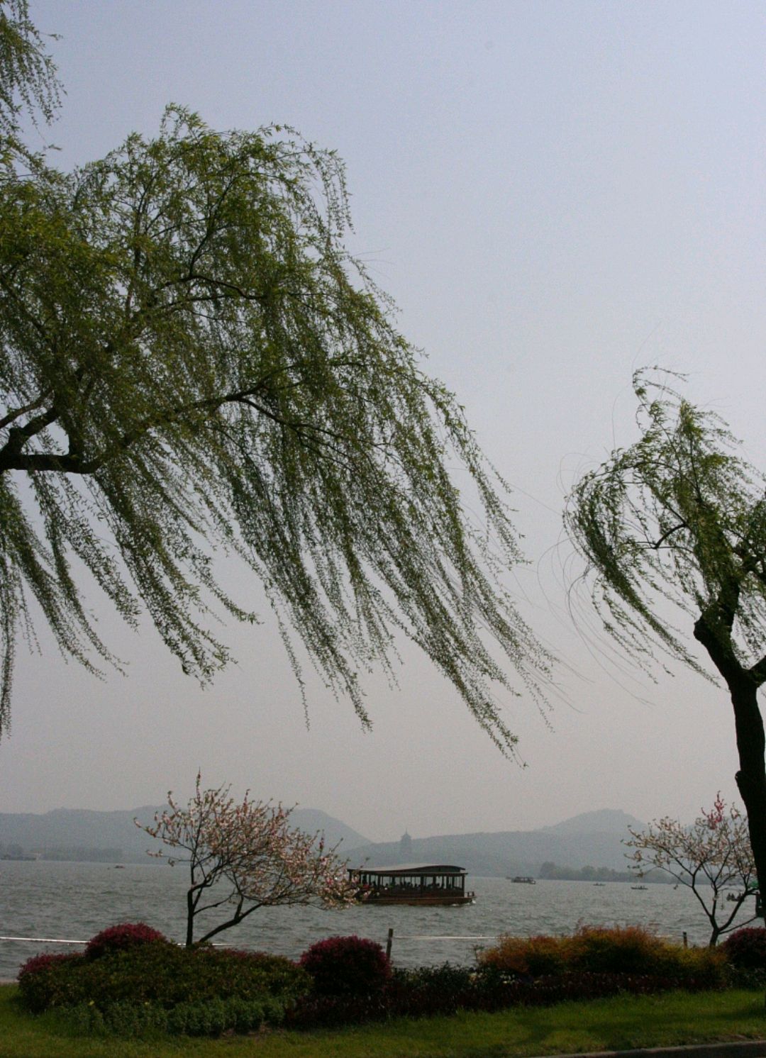 春天的风吹动了我们的芳华