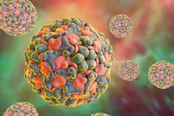 癌症新发现:柯萨奇病毒能够摧毁肿瘤细胞!