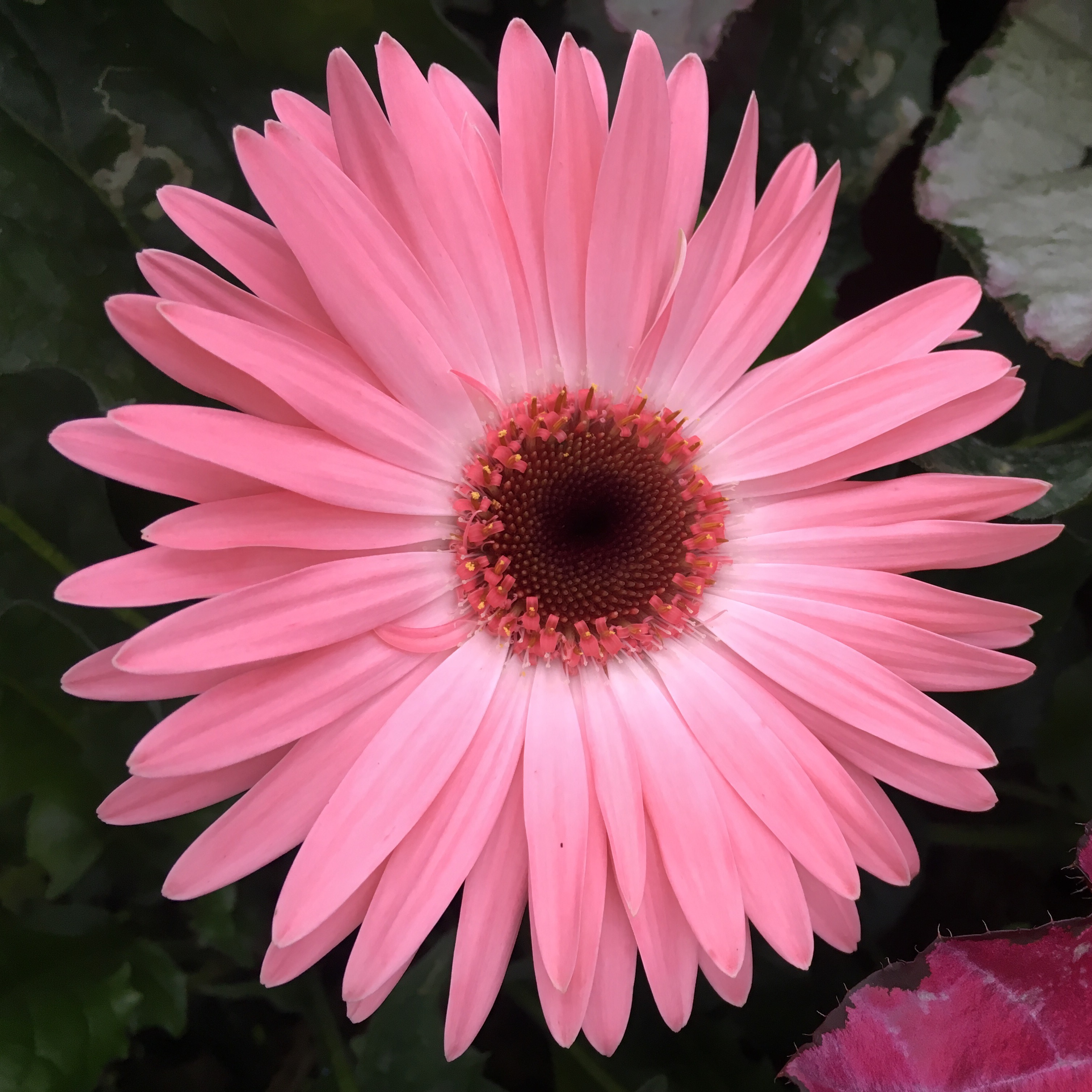 每天学点英语---风力等级的英文表达