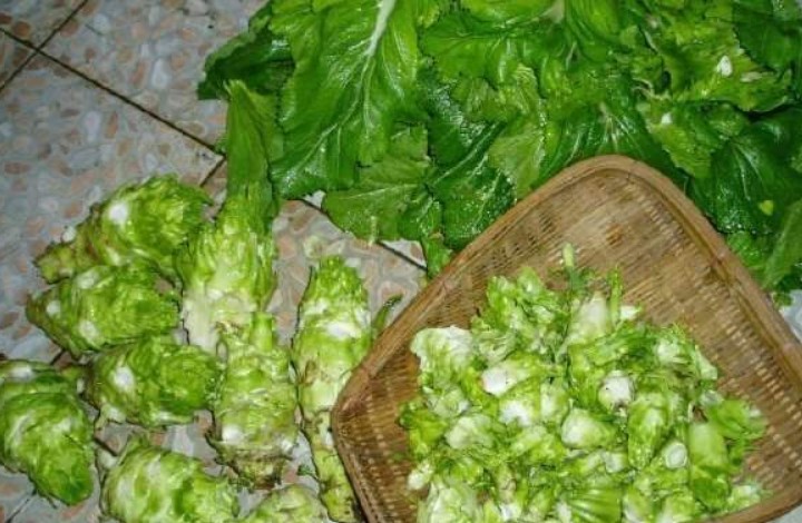 北方人到南方旅游,看到南方人吃的蔬菜直犯嘀咕:和猪抢吃的?
