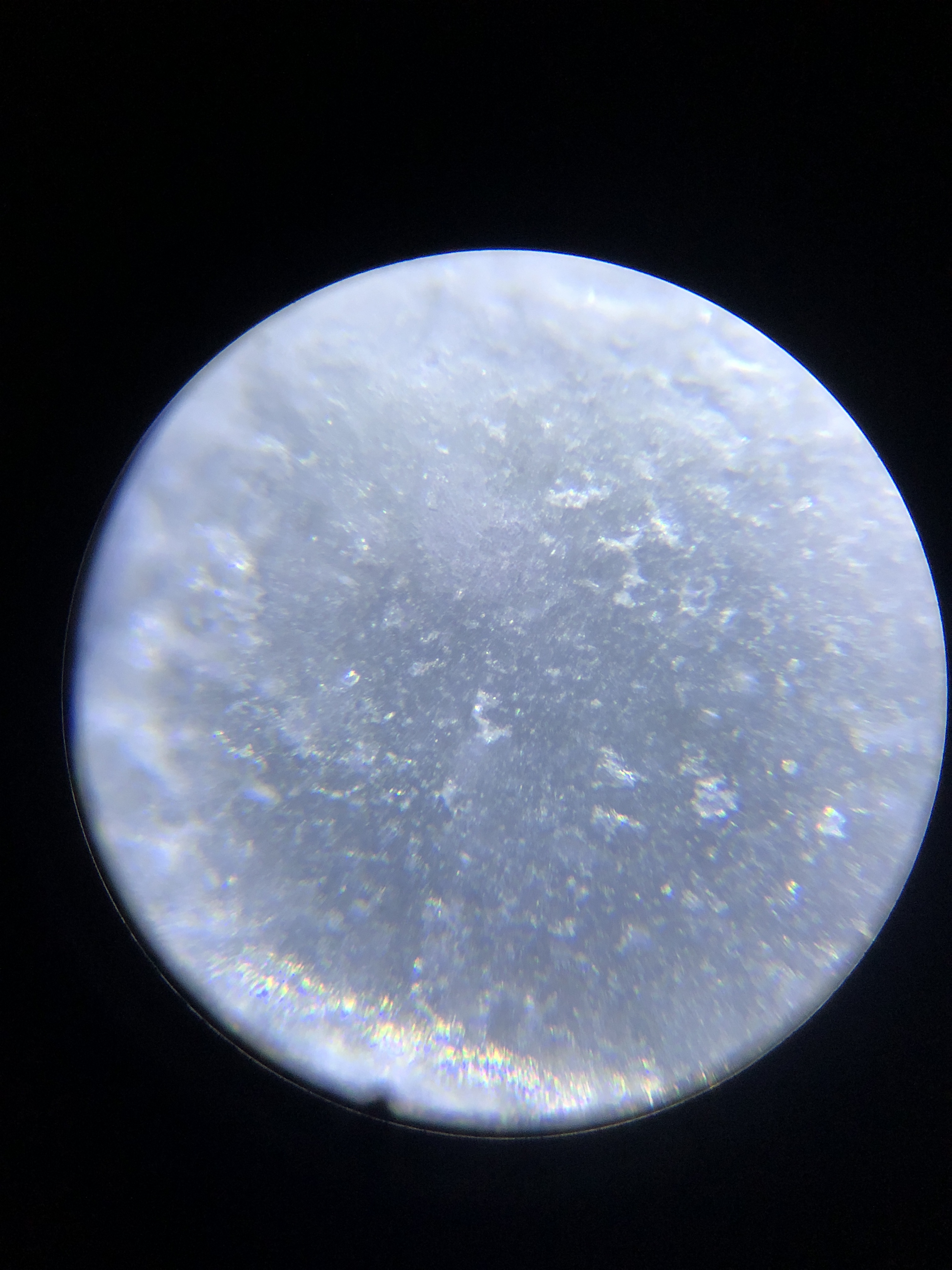 显微镜下的世界——食盐