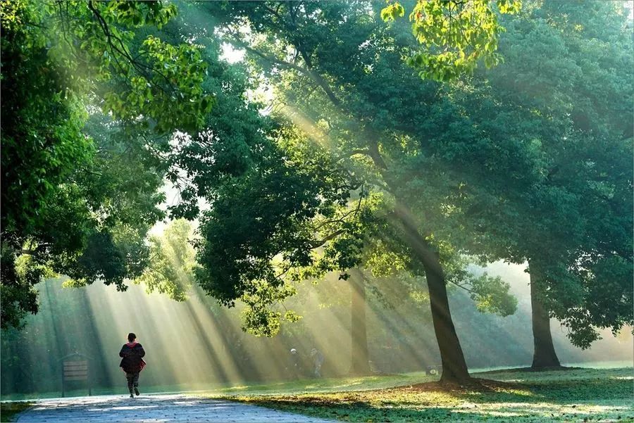 4万亩!成都牧马山悄然变身森林公园