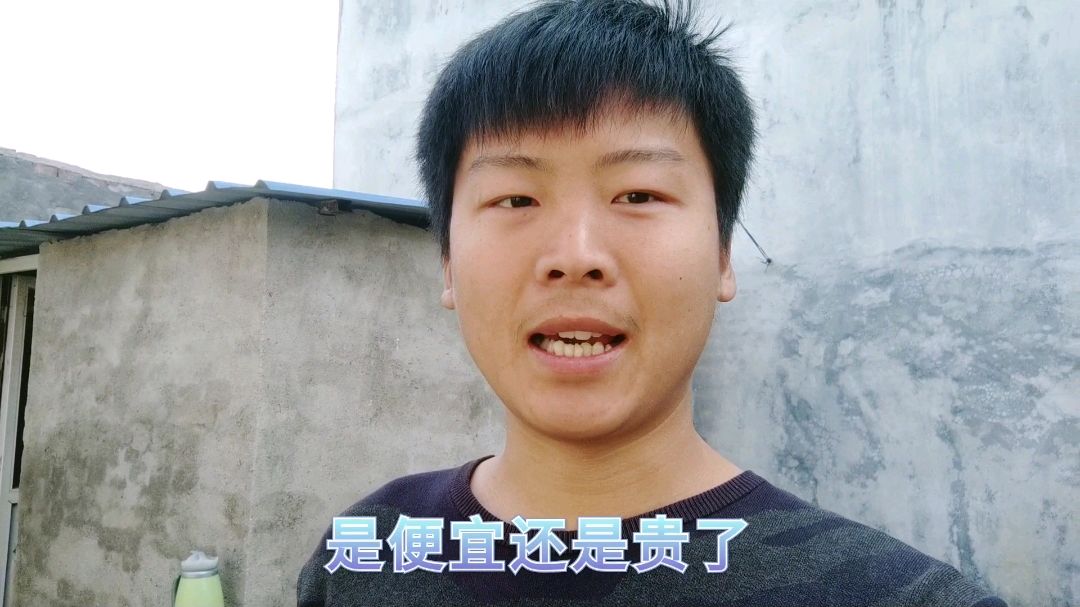 爸爸去买红公鸡,大喇叭喊着喂不起了,这个价格是不是赚了?