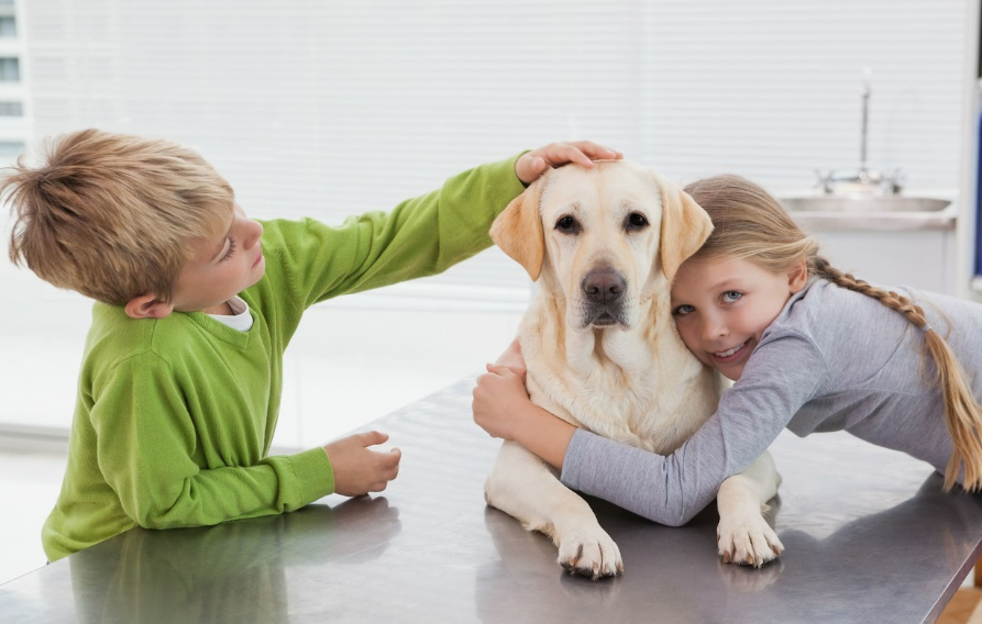这"6种狗狗",对小孩子最友好,就怕被第三种带傻!