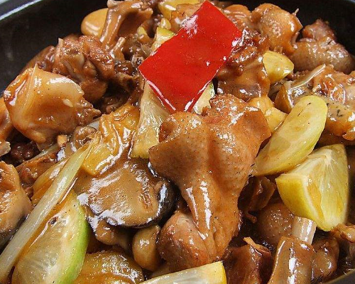 小右教你做美食:爱吃鸭肉的一定要收藏,教你来做超美味的焖鸭哦