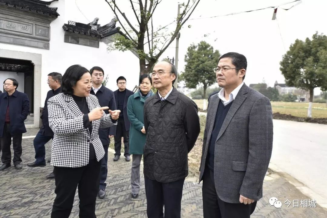 市人大常委会主任陈振一来相城调研乡村振兴工作