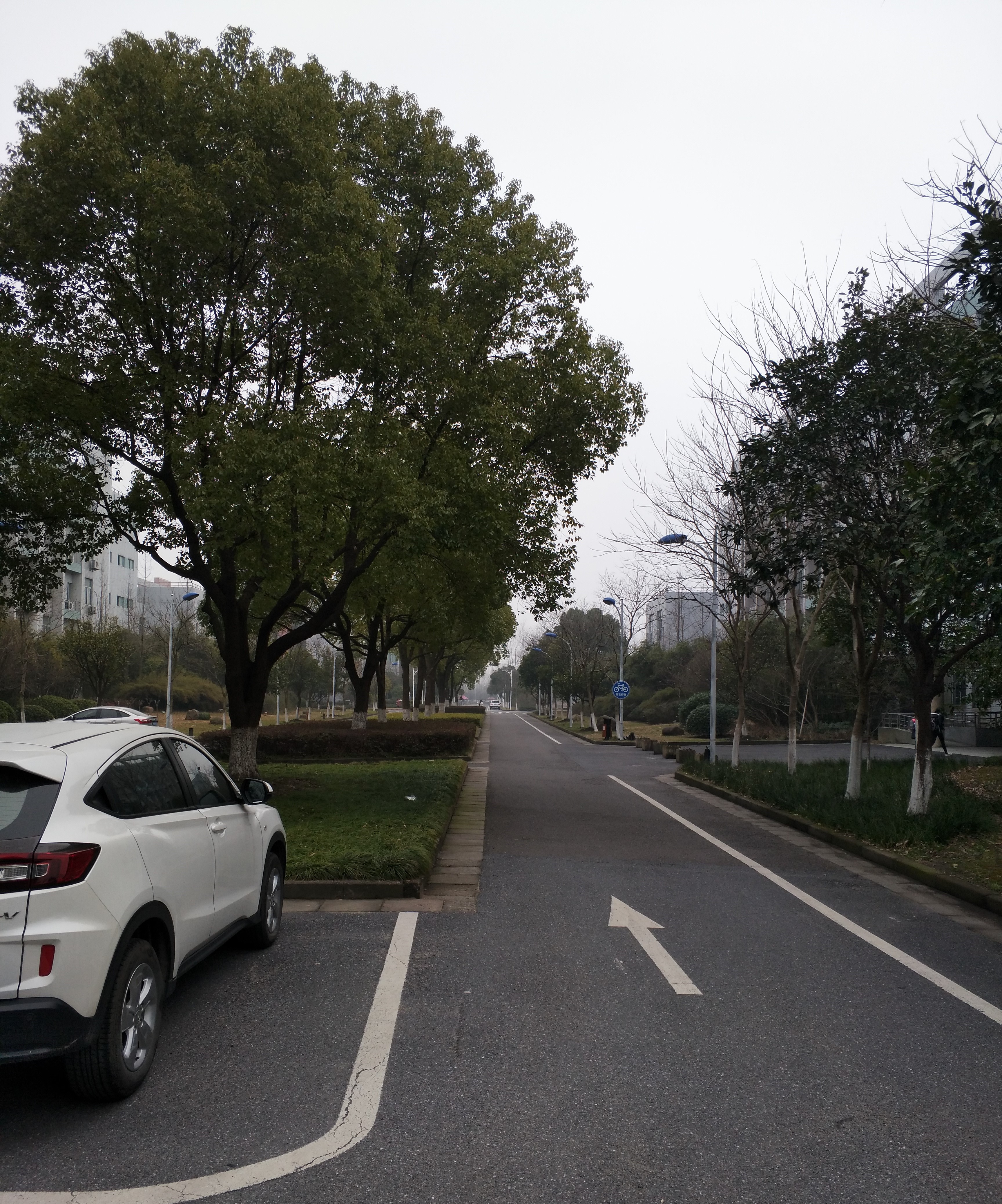 一座大学,一座城:马云的母校,杭州师范大学!