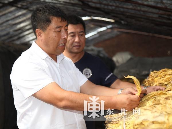 「情系黑土 青年返乡创业热」贾海涛返乡创业11年 当村支书带领村民走