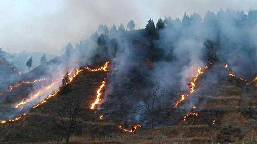 突发,陕西商洛出现森林火灾,现场浓烟滚滚,系村民烧荒所致