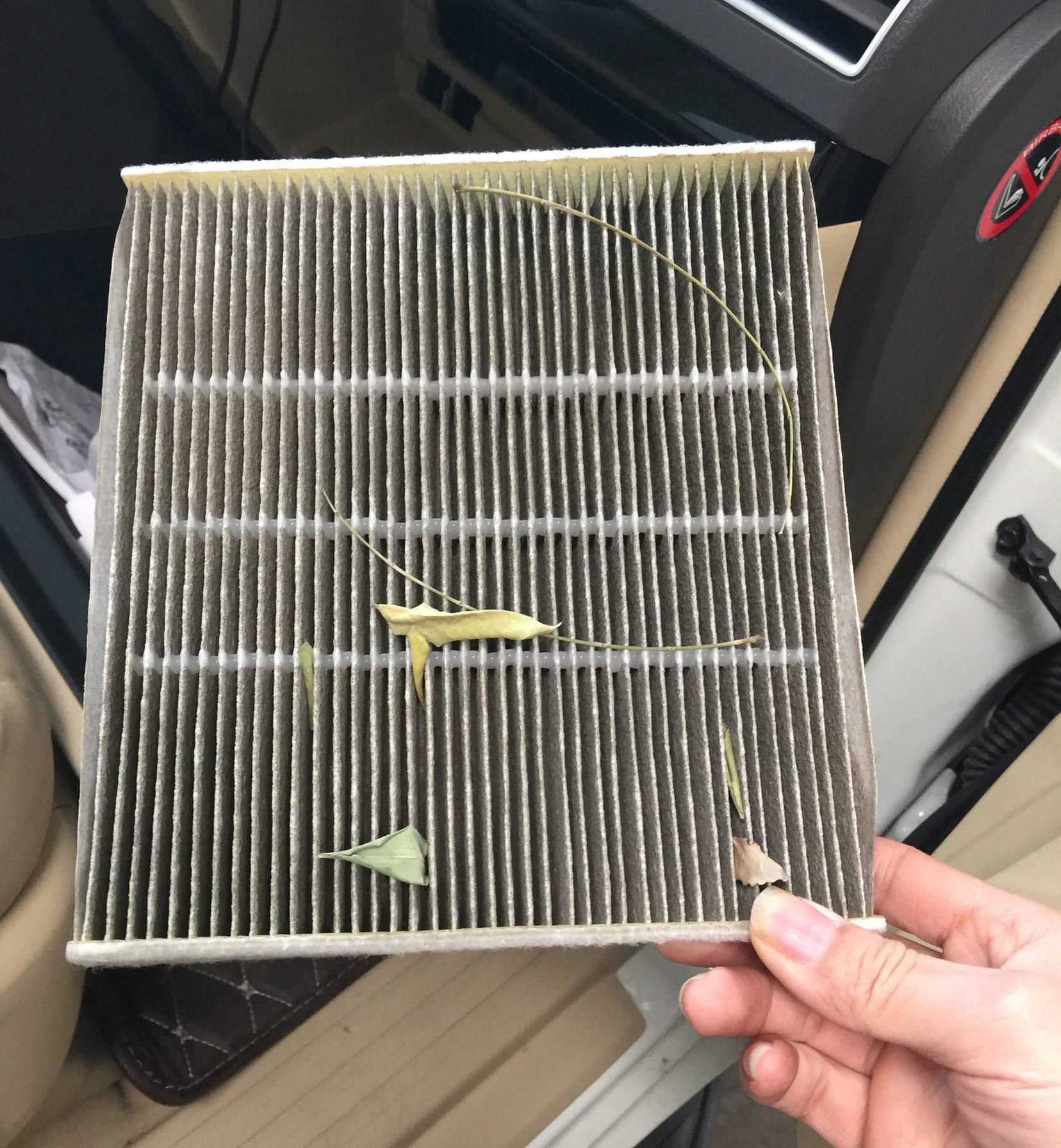 汽车开久了车内有异味,是空气滤芯器的锅吗